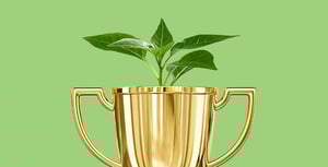 booster-about-us-2025-socially-responsible-fund-ranked-first-high-growth-morningstar-report-new-zealand