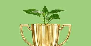 booster-about-us-2025-socially-responsible-fund-ranked-first-high-growth-morningstar-report-new-zealand